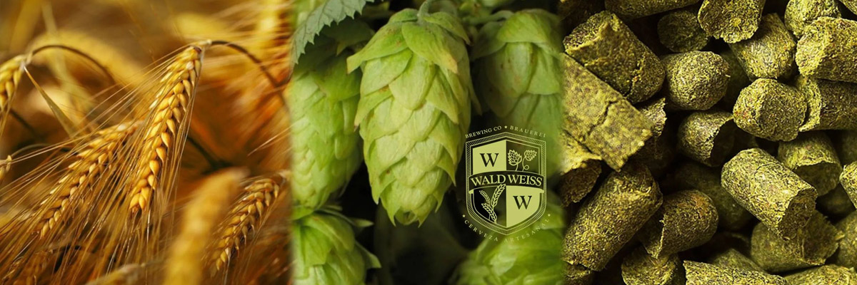 Imagen 1 del Carrusel